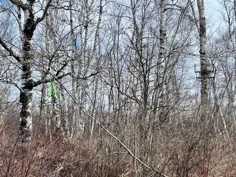 Xyz Split Rock Road, Split Rock Twp, MN 55783 photo 3