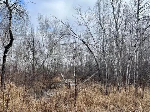 Xyz Split Rock Road, Split Rock Twp, MN 55783 photo 6