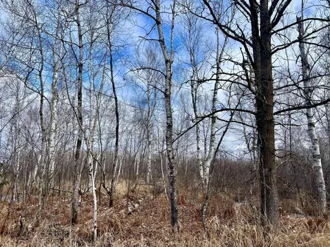 Xyz Split Rock Road, Split Rock Twp, MN 55783 photo 7