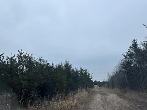 tbd Anthony Rd SW, Brainerd, MN 56401 photo 16