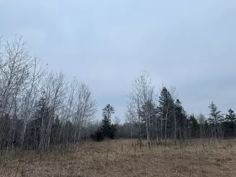 tbd Anthony Rd SW, Brainerd, MN 56401 photo 15