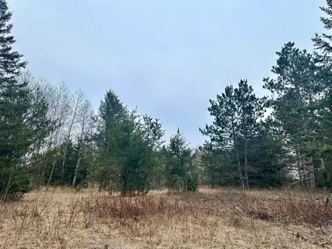 tbd Anthony Rd SW, Brainerd, MN 56401 photo 8
