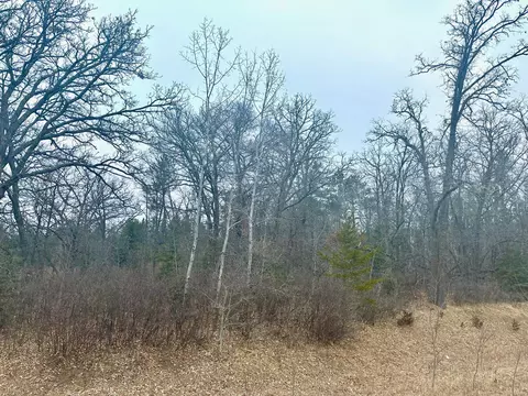 tbd Anthony Rd SW, Brainerd, MN 56401 photo 3