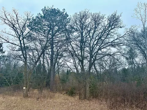 tbd Anthony Rd SW, Brainerd, MN 56401 photo 4