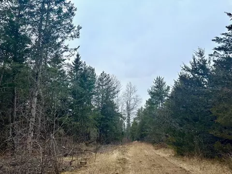tbd Anthony Rd SW, Brainerd, MN 56401 photo 9