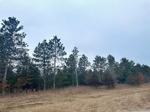 tbd Anthony Rd SW, Brainerd, MN 56401 photo 11