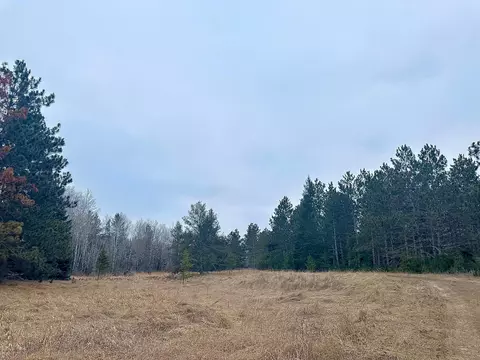 tbd Anthony Rd SW, Brainerd, MN 56401 photo 7