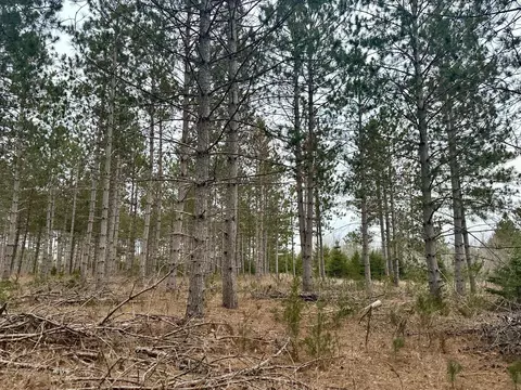 tbd Anthony Rd SW, Brainerd, MN 56401 photo 10