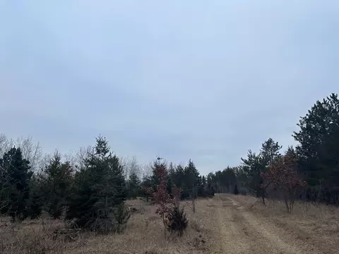 tbd Anthony Rd SW, Brainerd, MN 56401 photo 14