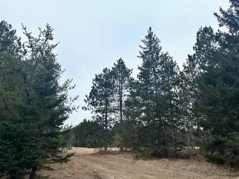 tbd Anthony Rd SW, Brainerd, MN 56401 photo 6