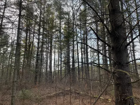 0 Old 14 Rd, True Twp, WI 54526