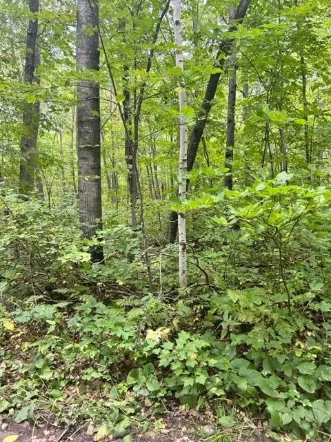 Nnn Opal Lane, Cushing, MN 56443