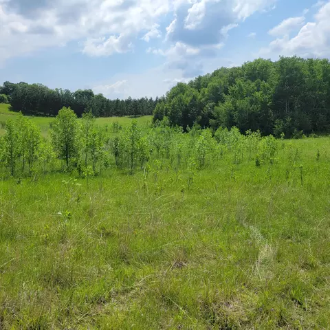 Nnn 340th Avenue, Everts Twp, MN 56586