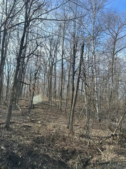 Nnn Birchcurve Rd, Cushing, MN 56443