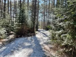 46358 E Nest Rd, Bowstring Twp, MN 56636