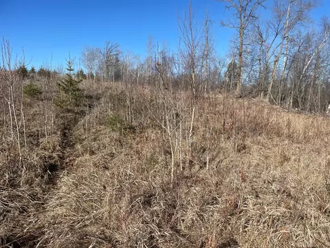 Tbd 219th, Sinclair Twp, MN 56634 photo 39
