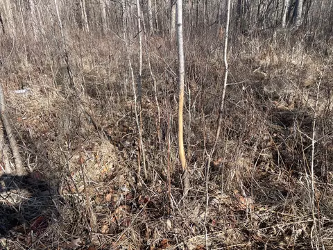 Tbd 219th, Sinclair Twp, MN 56634 photo 33