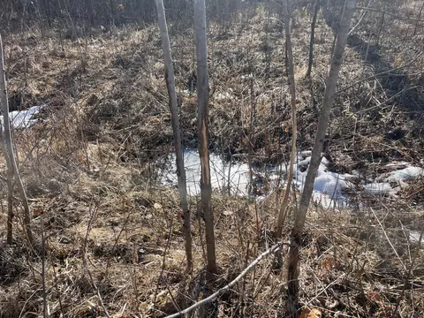 Tbd 219th, Sinclair Twp, MN 56634 photo 32