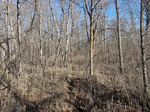 Tbd 219th, Sinclair Twp, MN 56634 photo 23