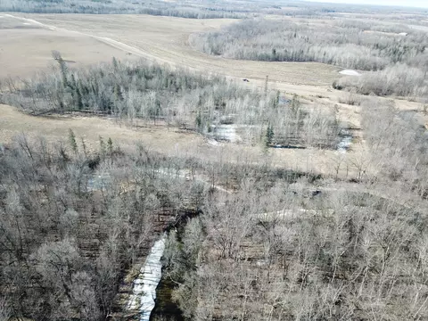 Tbd 219th, Sinclair Twp, MN 56634 photo 11