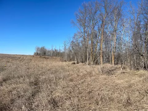 Tbd 219th, Sinclair Twp, MN 56634 photo 37