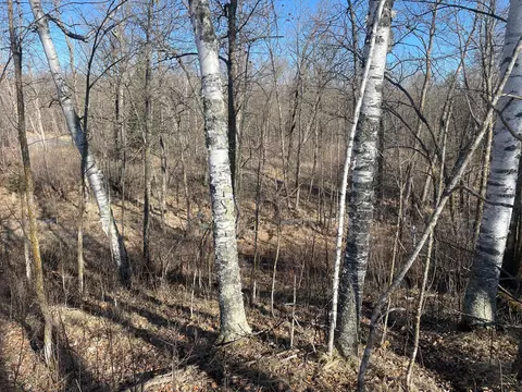 Tbd 219th, Sinclair Twp, MN 56634 photo 38