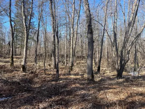 Tbd 219th, Sinclair Twp, MN 56634 photo 35
