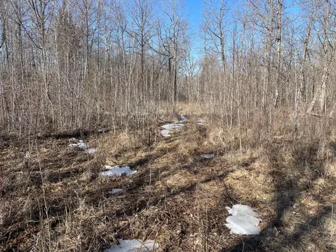 Tbd 219th, Sinclair Twp, MN 56634 photo 36