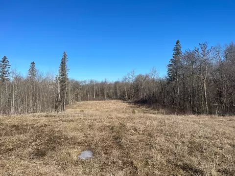 Tbd 219th, Sinclair Twp, MN 56634 photo 17