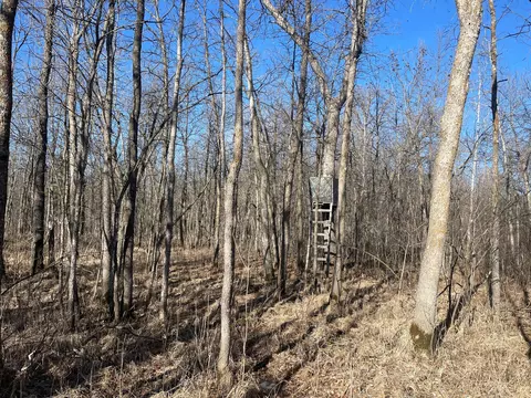 Tbd 219th, Sinclair Twp, MN 56634 photo 31