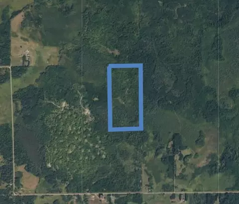 tbd Driftwood, Rice River Twp, MN 55760