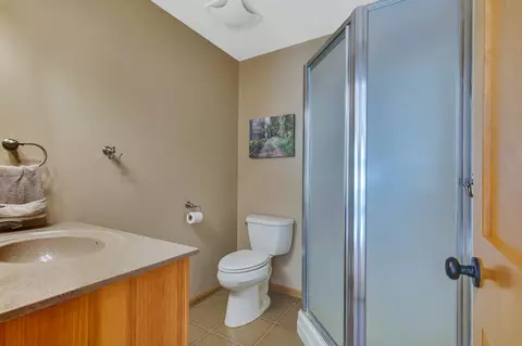 Bath - 33326 Birch Crest Rd, Grey Eagle, MN 56336 photo 3 of 3
