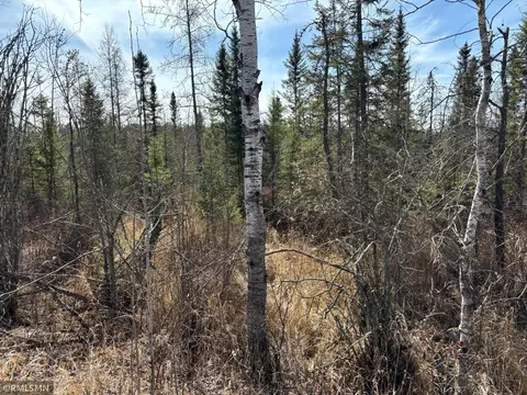 Nnn Soo Line Trail, Mcgregor, MN 55760