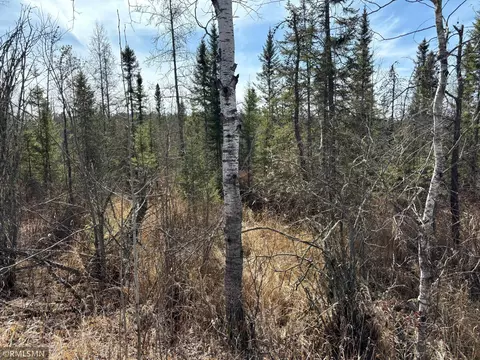 Nnn Soo Line Trail, Mcgregor, MN 55760