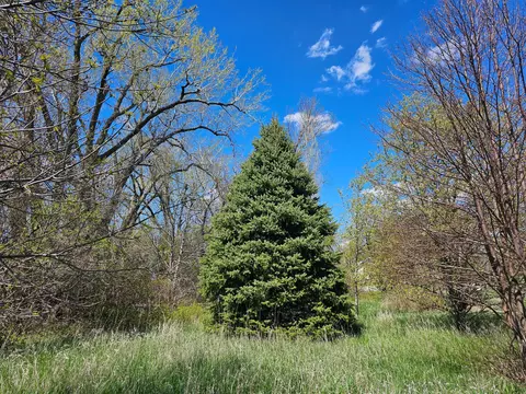 45604 880th Ave, Hector, MN 55342 photo 34