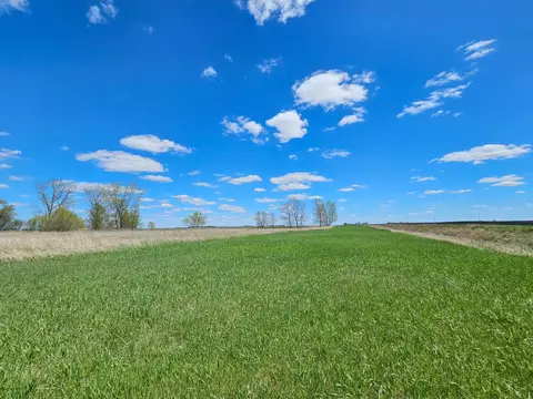 45604 880th Ave, Hector, MN 55342 photo 39