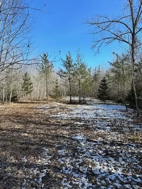 tbd 323rd Ave, Farden Twp, MN 56633