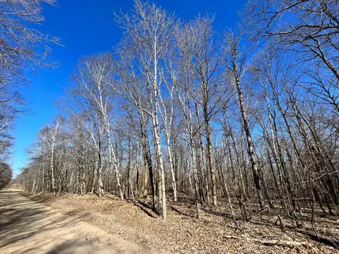 tbd Cherry Lake Rd, Maple Grove Twp, MN 56569