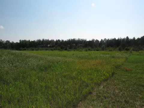 3461 54th Ave SW, Pine River, MN 56474 photo 22