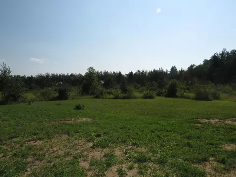 3461 54th Ave SW, Pine River, MN 56474 photo 20