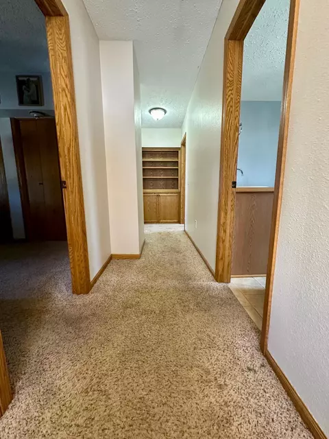 223 1st St S, Nerstrand, MN 55053 photo 22