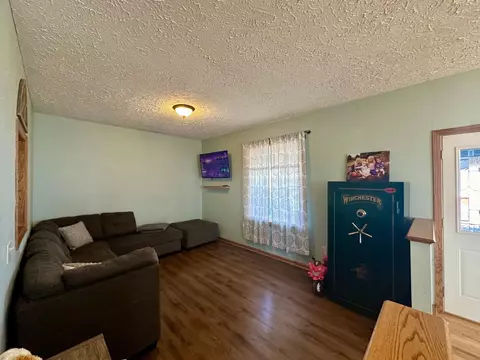 223 1st St S, Nerstrand, MN 55053 photo 4