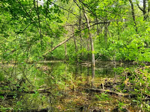 147 Nn Co Hwy 30 A, Pelican Rapids, MN 56572