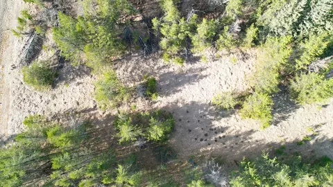 lot8 Block 2 Knotty Pine Dr, Baxter, MN 56425 photo 5