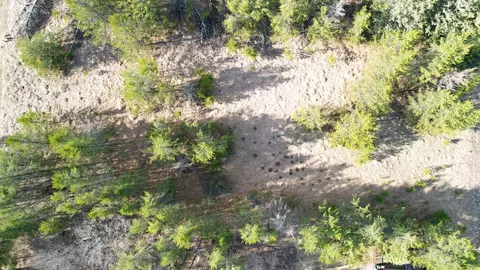lot8 Block 2 Knotty Pine Dr, Baxter, MN 56425 photo 4