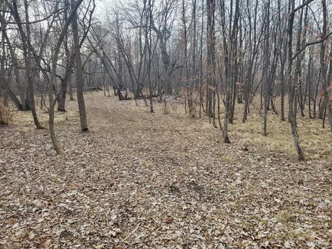 18 45 Ac Long Lake Rd, Ottertail, MN 56571 photo 8