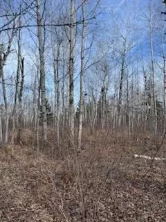 658 E County Rd W, Superior, WI 54880 photo 35
