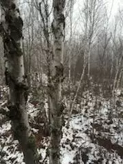 658 E County Rd W, Superior, WI 54880 photo 13