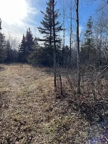 658 E County Rd W, Superior, WI 54880 photo 36