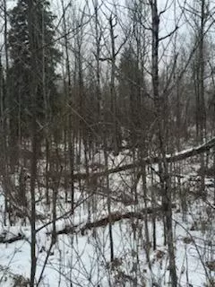 658 E County Rd W, Superior, WI 54880 photo 7